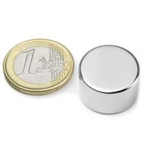 Disco magnetico Ø 20 mm, altezza 12 mm
