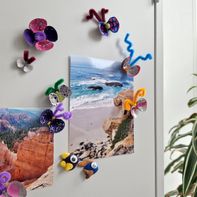 Create decorative magnets from seashells