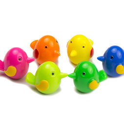 LIV-67, Birdie, strong bird fridge magnets, set of 6