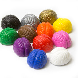 LIV-110, Crazy Brain, aimants décoratifs en forme de cerveau, couleurs assorties, lot de 12