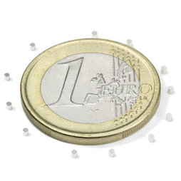 S-01-01-N, Disque magnétique Ø 1 mm, hauteur 1 mm, néodyme, N45, nickelé