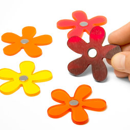 AG-03, Summer Flowers, aimants fleurs aux couleurs estivales, lot de 5