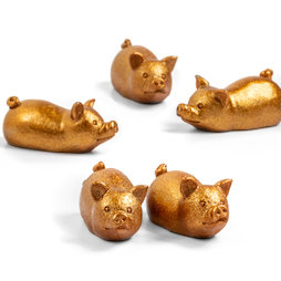 LIV-132, Golden piggy, fridge magnets in piggy shape, set of 5