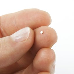Disque magnétique Ø 1,5 mm, hauteur 0,5 mm
