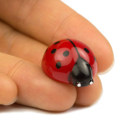 LIV-53, Coccinelles, aimants décoratifs en forme de coccinelles, lot de 6