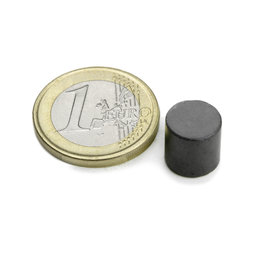 FE-S-10-10, Scheibenmagnet Ø 10 mm, Höhe 10 mm, Ferrit, Y35, unbeschichtet