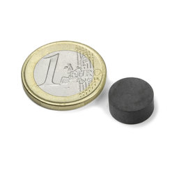 FE-S-12-05, Disc magnet Ø 12 mm, height 5 mm, ferrite, Y35, no coating