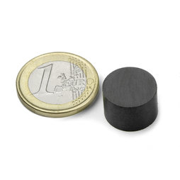 FE-S-15-10, Scheibenmagnet Ø 15 mm, Höhe 10 mm, Ferrit, Y35, unbeschichtet