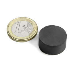 FE-S-20-10, Scheibenmagnet Ø 20 mm, Höhe 10 mm, Ferrit, Y35, unbeschichtet